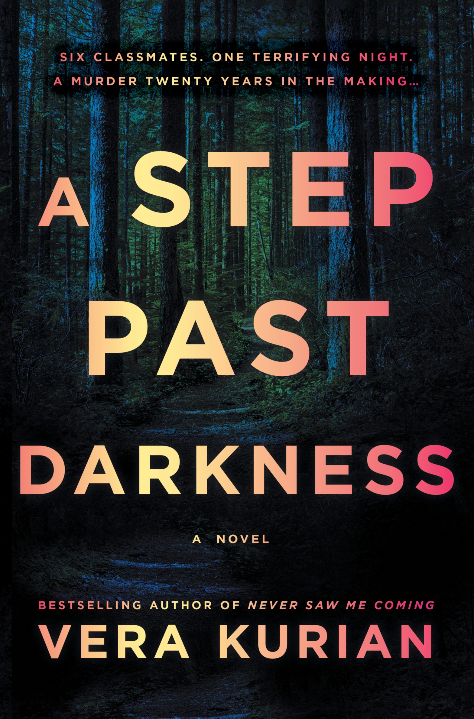 A STEP PAST DARKNESS by Vera Kurian blog tour and book excerpt