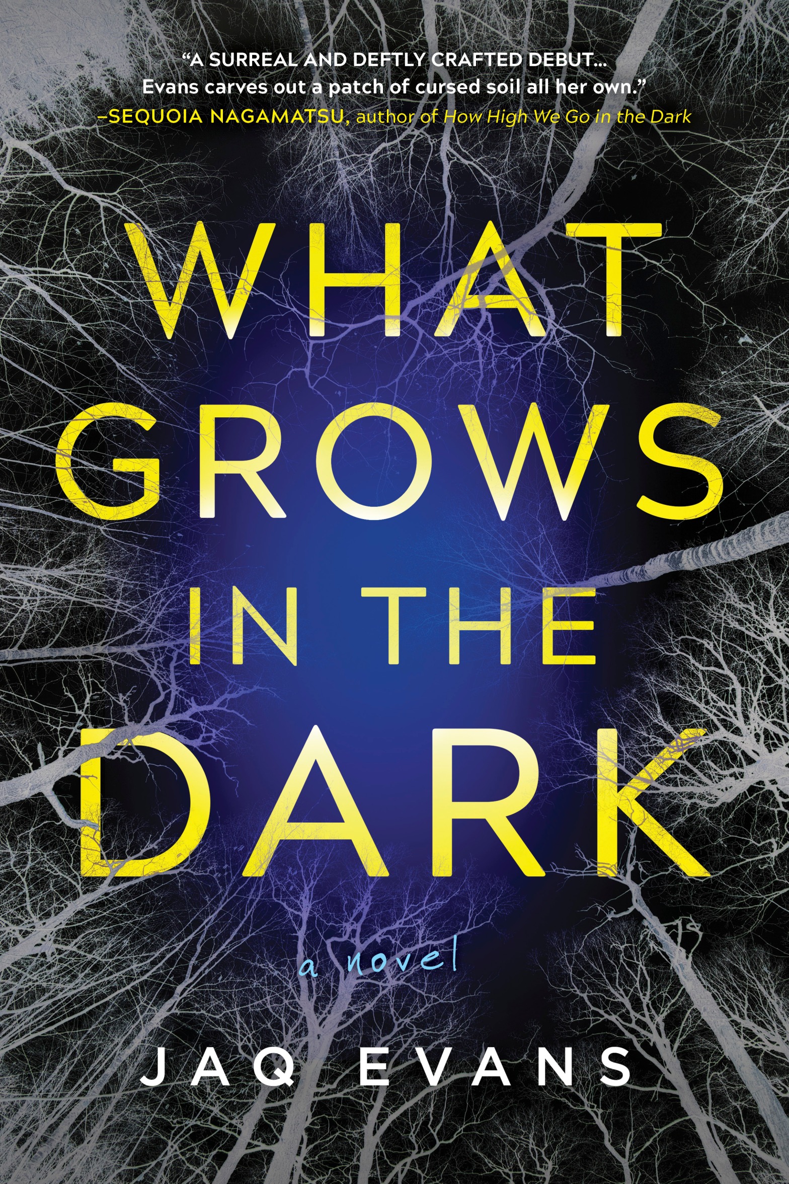 WHAT GROWS IN THE DARK by Jaq Evans blog tour and excerpt!